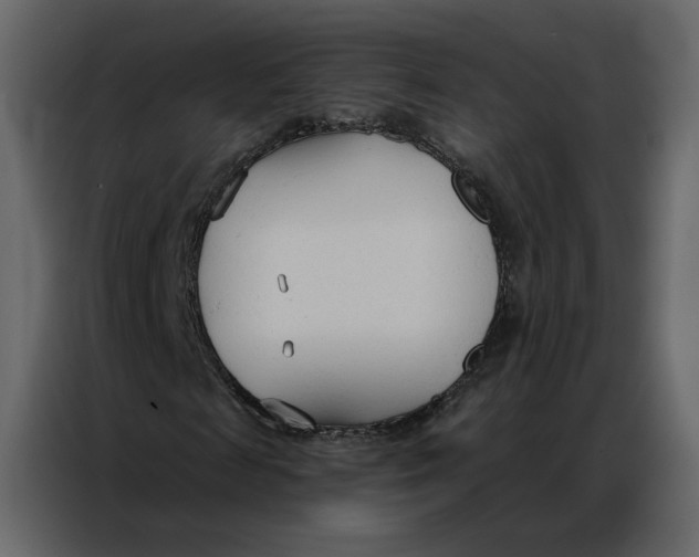 X0000086900817200705071241