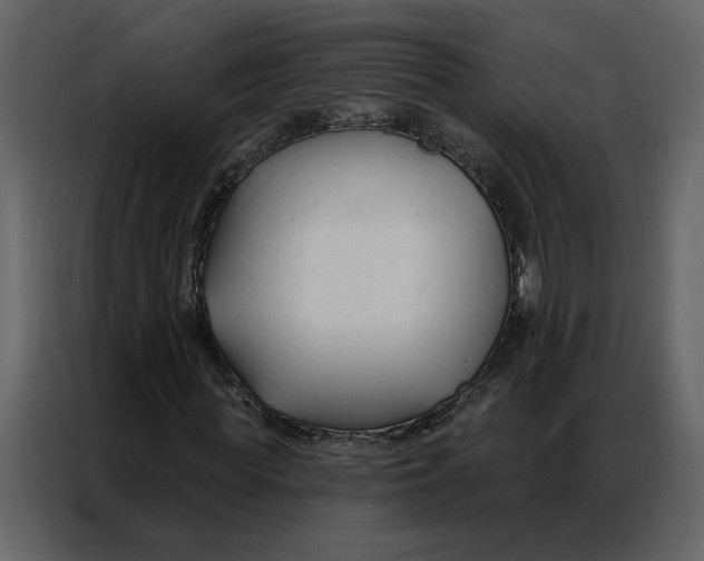 X0000086900819200705071241