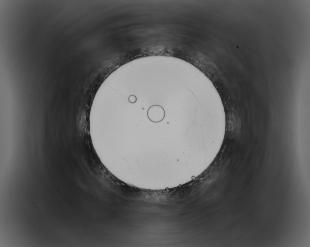 X0000086900820200705071241