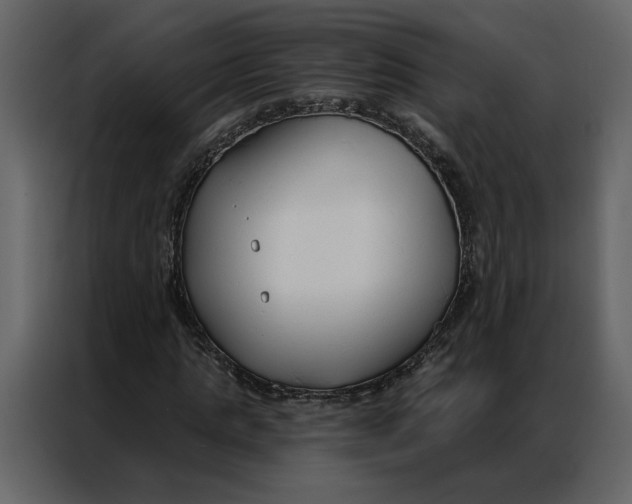 X0000086900821200705071241