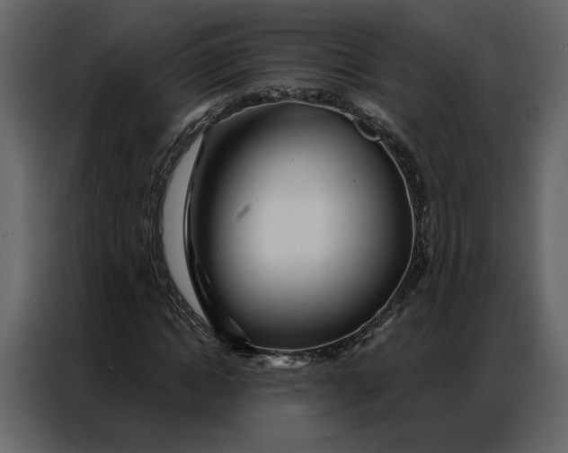 X0000086900822200705071241