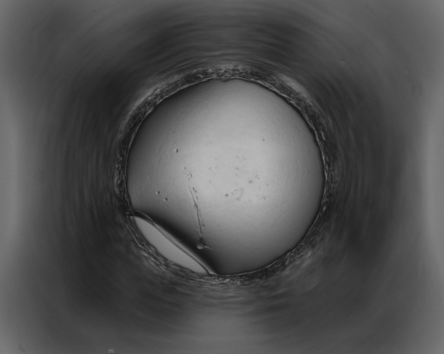 X0000086900823200705071241