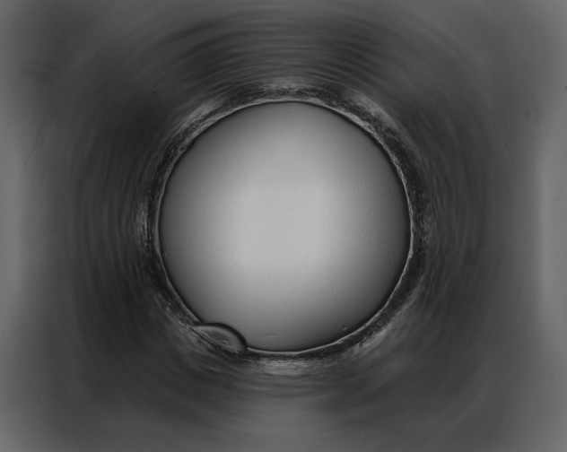 X0000086900825200705071241