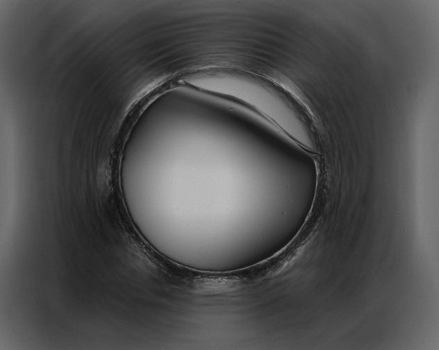 X0000086900826200705071241