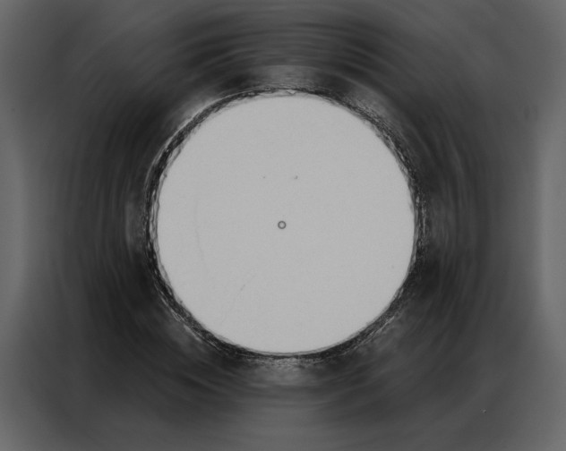 X0000086900828200705071241