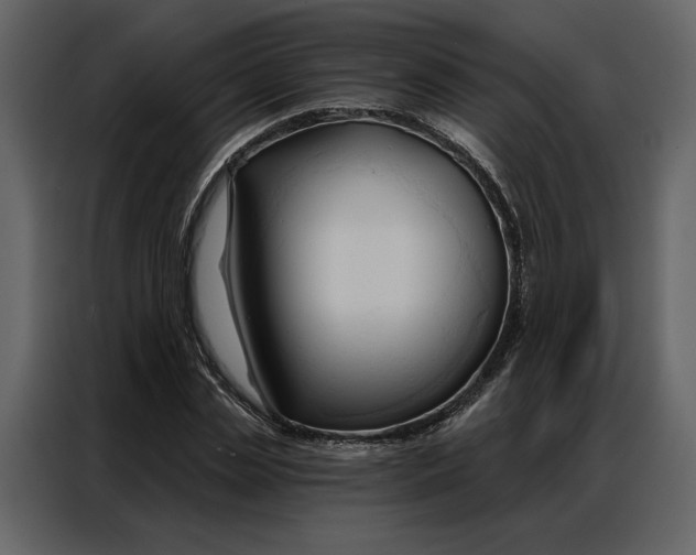 X0000086900829200705071241