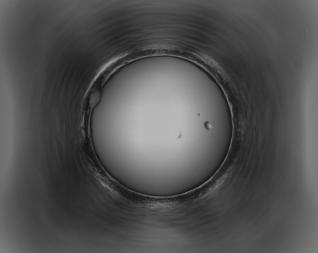 X0000086900830200705071241