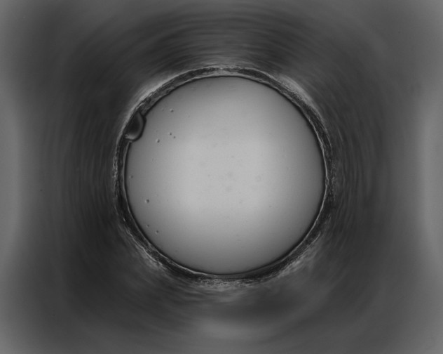 X0000086900831200705071241