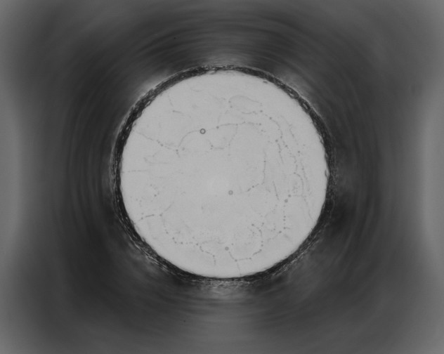 X0000086900832200705071241