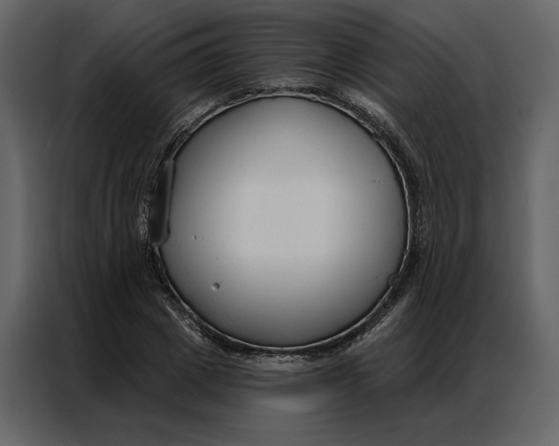 X0000086900833200705071241