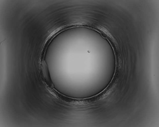 X0000086900834200705071241