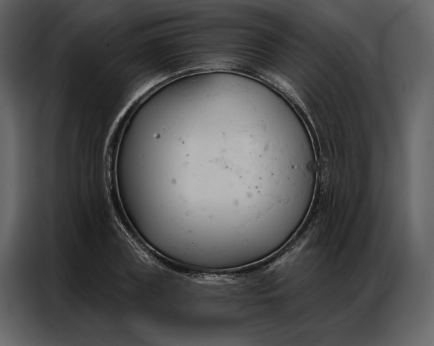 X0000086900835200705071241