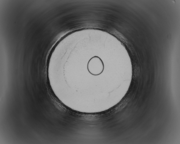 X0000086900836200705071241