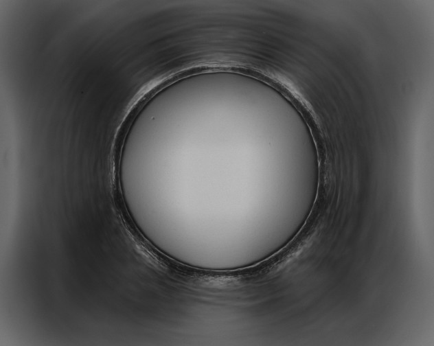 X0000086900837200705071242