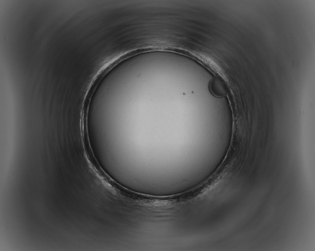 X0000086900839200705071242