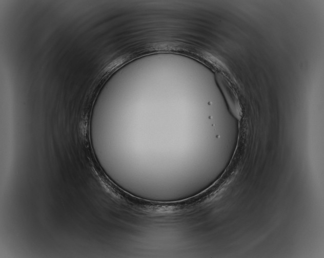 X0000086900841200705071242