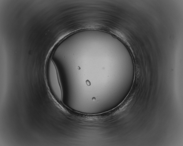 X0000086900843200705071242