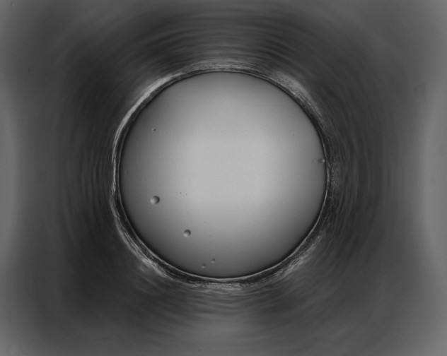 X0000086900844200705071242