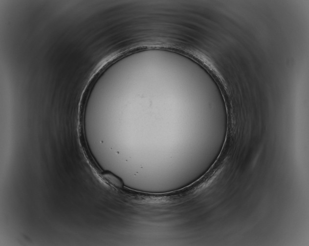 X0000086900845200705071242