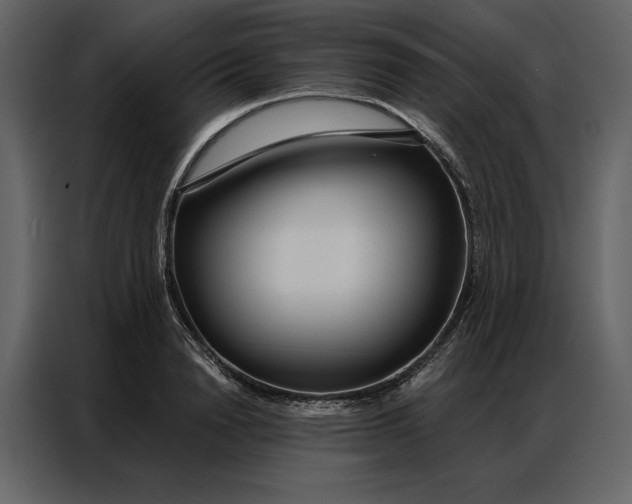 X0000086900846200705071242