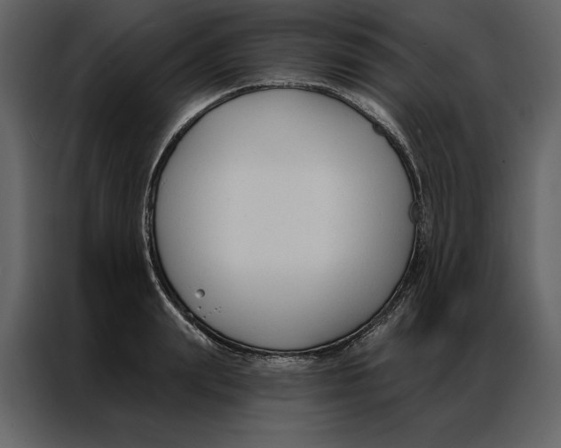 X0000086900847200705071242