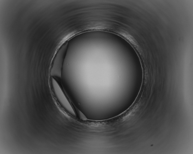 X0000086900850200705071242