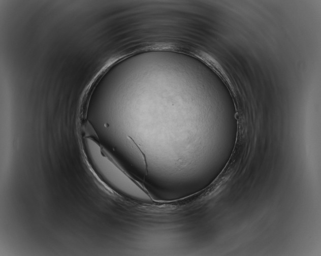 X0000086900851200705071242