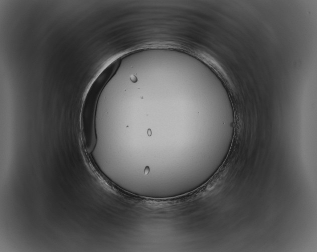 X0000086900852200705071242