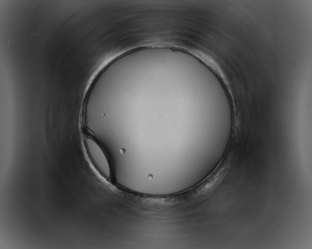 X0000086900855200705071242