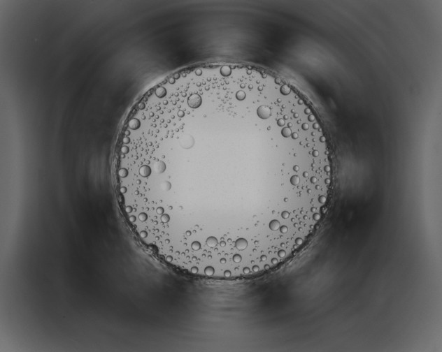 X0000086900856200705071242