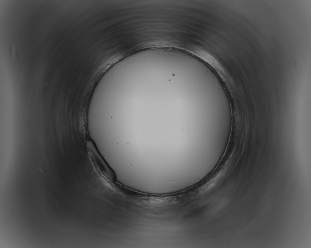 X0000086900857200705071242