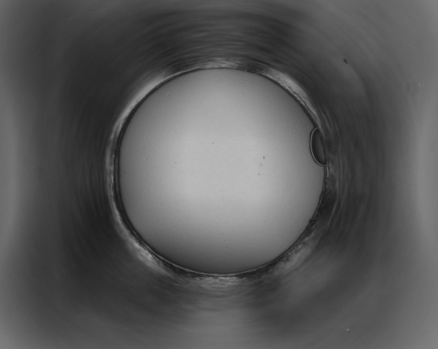 X0000086900859200705071242