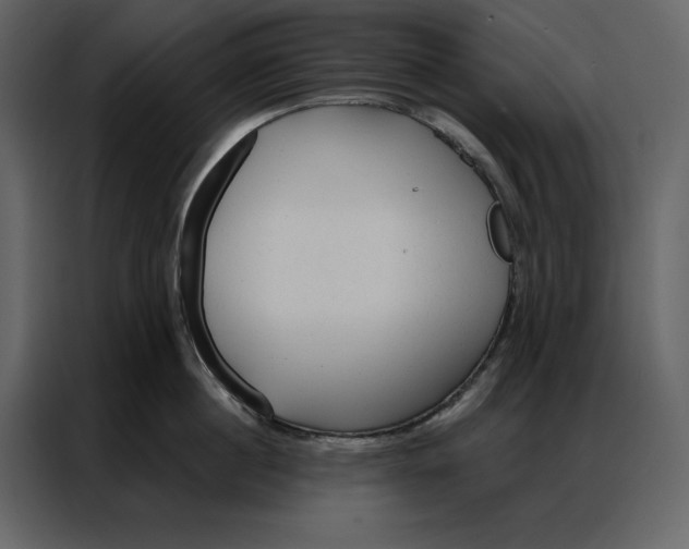 X0000086900860200705071242