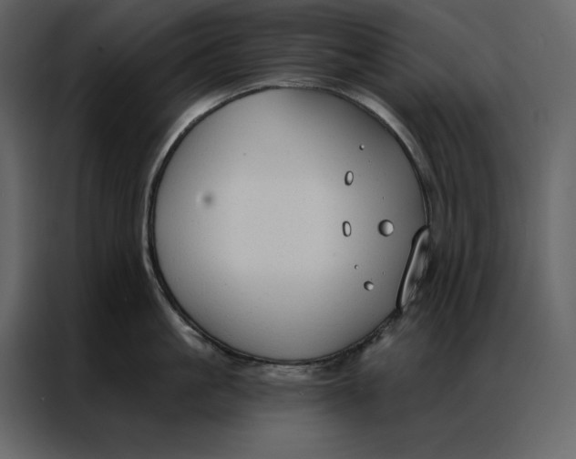 X0000086900861200705071242