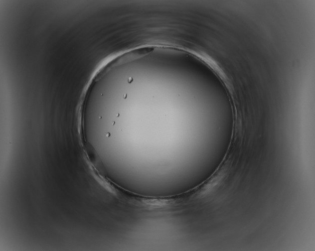 X0000086900862200705071242