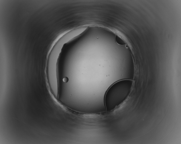 X0000086900863200705071242