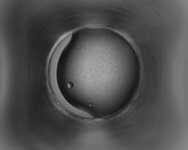 X0000086900864200705071242