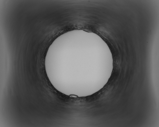 X0000086900865200705071241