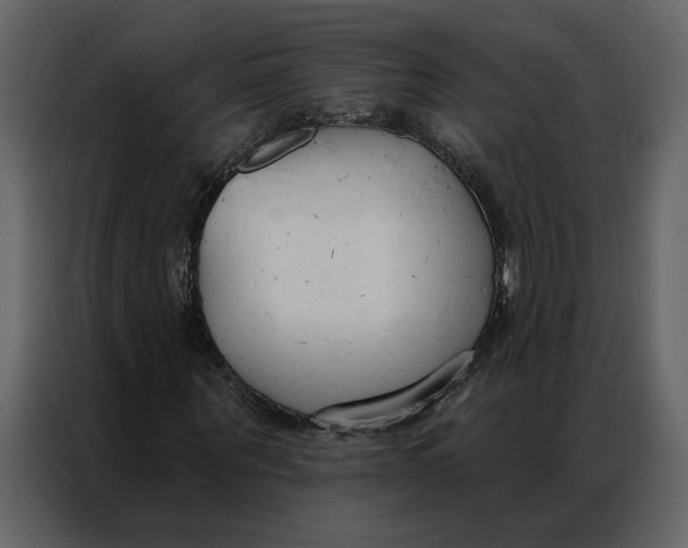 X0000086900867200705071241