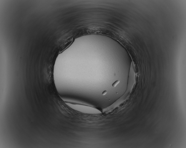 X0000086900868200705071241