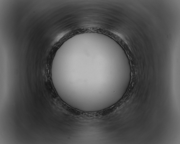 X0000086900871200705071241