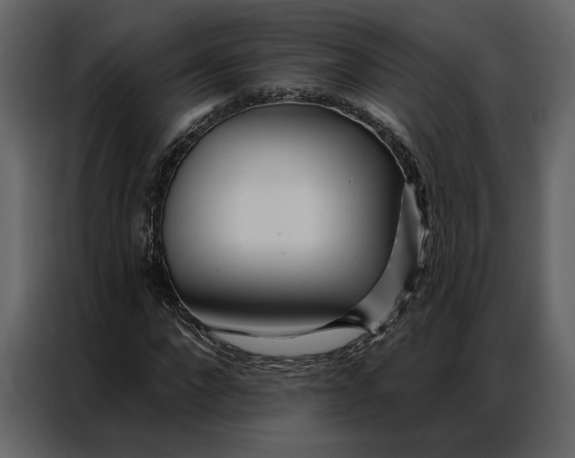 X0000086900872200705071241