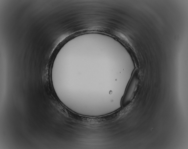 X0000086900875200705071241