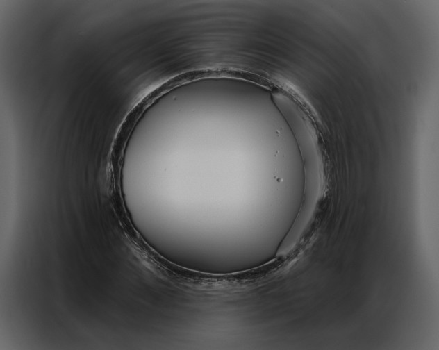 X0000086900876200705071241