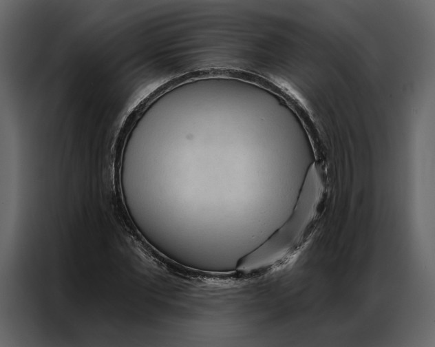 X0000086900877200705071241