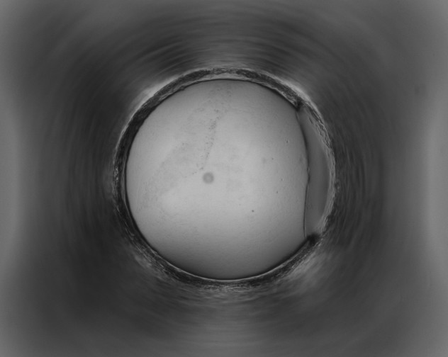 X0000086900879200705071241