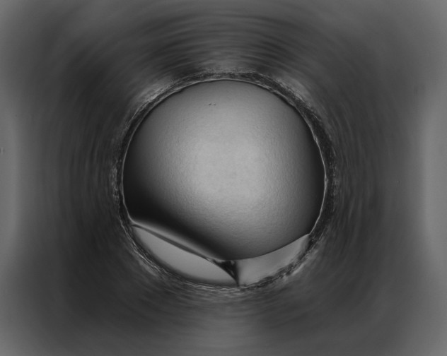 X0000086900881200705071241