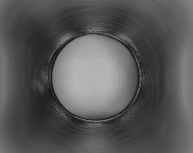 X0000086900882200705071241