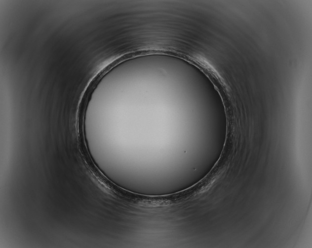 X0000086900884200705071241