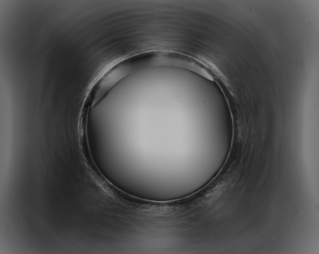 X0000086900885200705071241